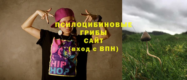 прущие крисы Армянск