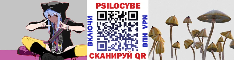 Псилоцибиновые грибы GOLDEN TEACHER  Сосенский 